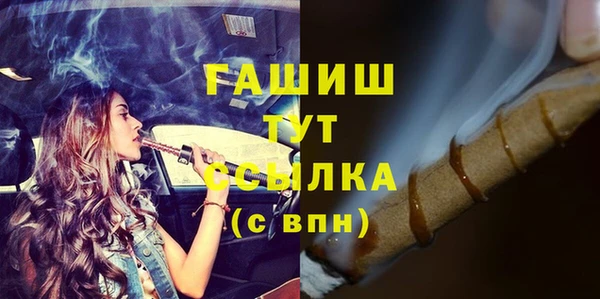 хмурый Арсеньев