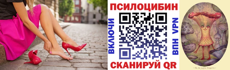 что такое наркотик  Белёв  Псилоцибиновые грибы прущие грибы 